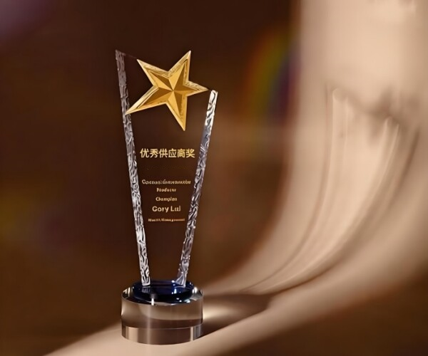 Huixin Outstanding Supplier Award
