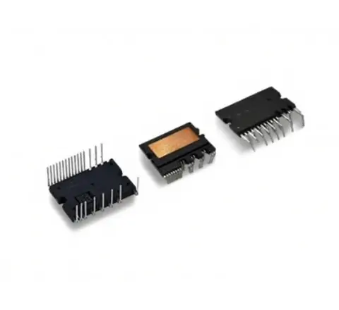 IPM Module
