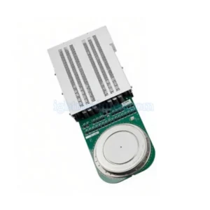 CSC6000-25