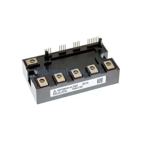 PM75RG1A065