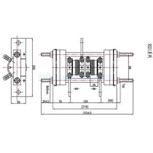 RSS1