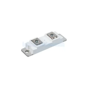 MMF200Y060DK1
